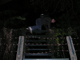 Photo  HK 151103 016.jpg